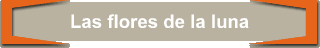 Las flores de la luna