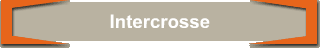 Intercrosse